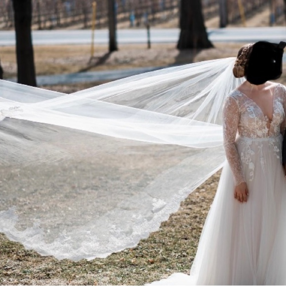 2020 Anna Kara Jude Wedding Gown/ Dress + Veil